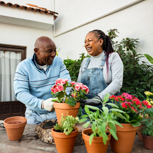 Gardening activity for healthy aging