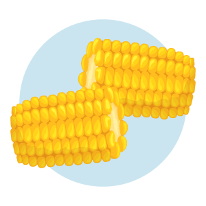Corn on the cob sections illustration