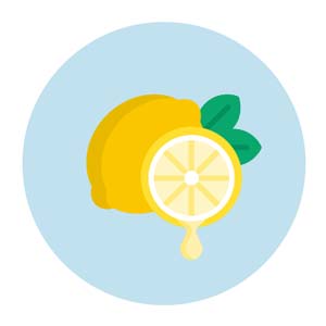 Fresh lemon and citrus slices