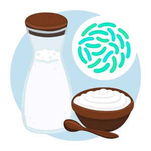 Probiotic-rich yogurt and gut health